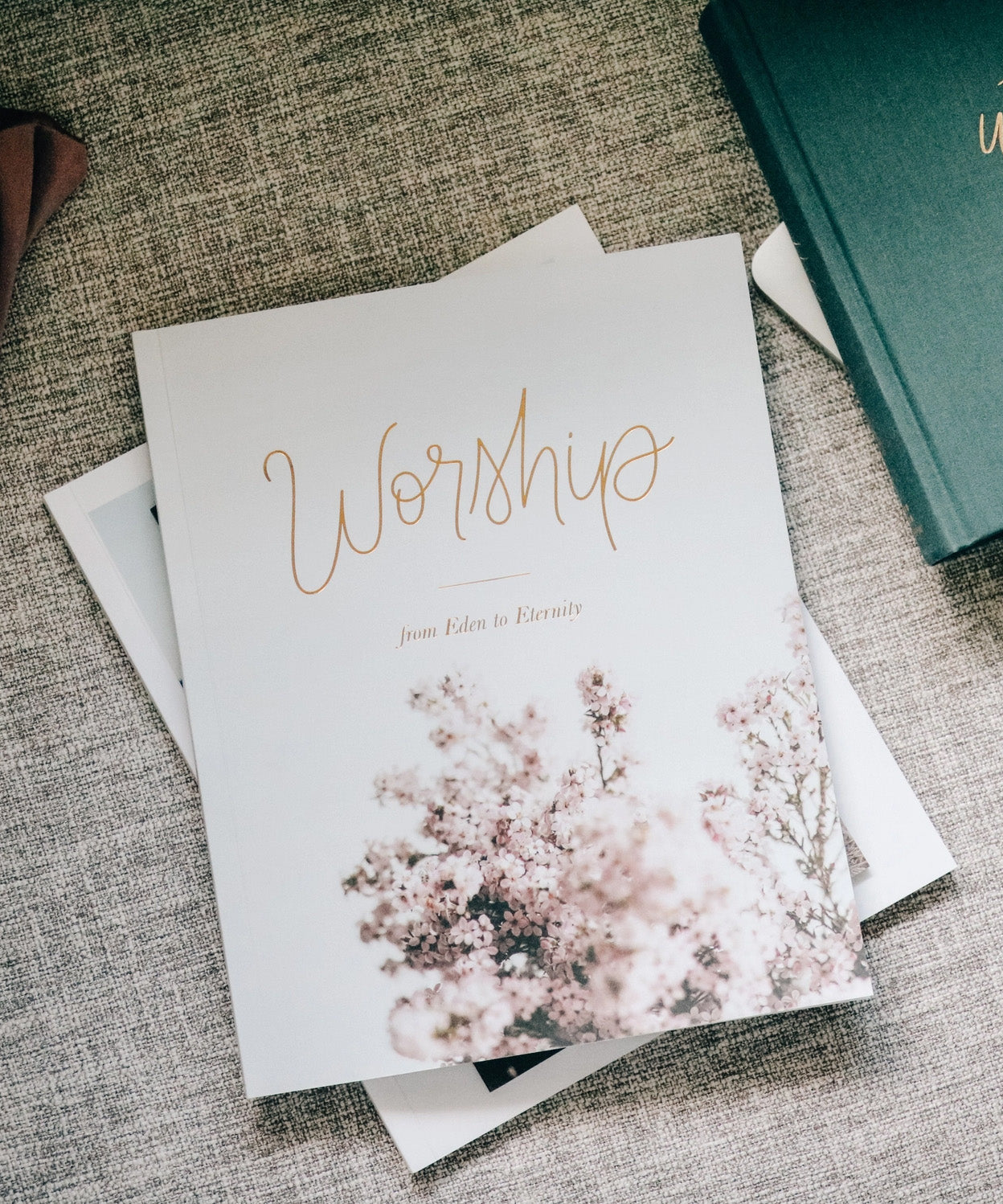 Worship Bible Study