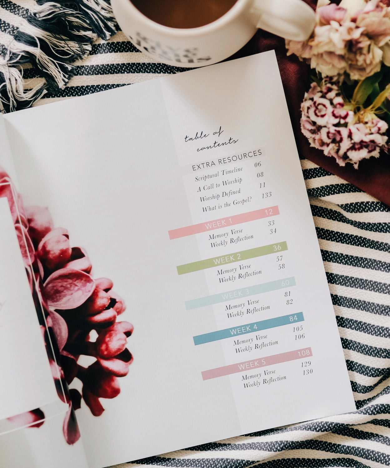 Worship Bible Study