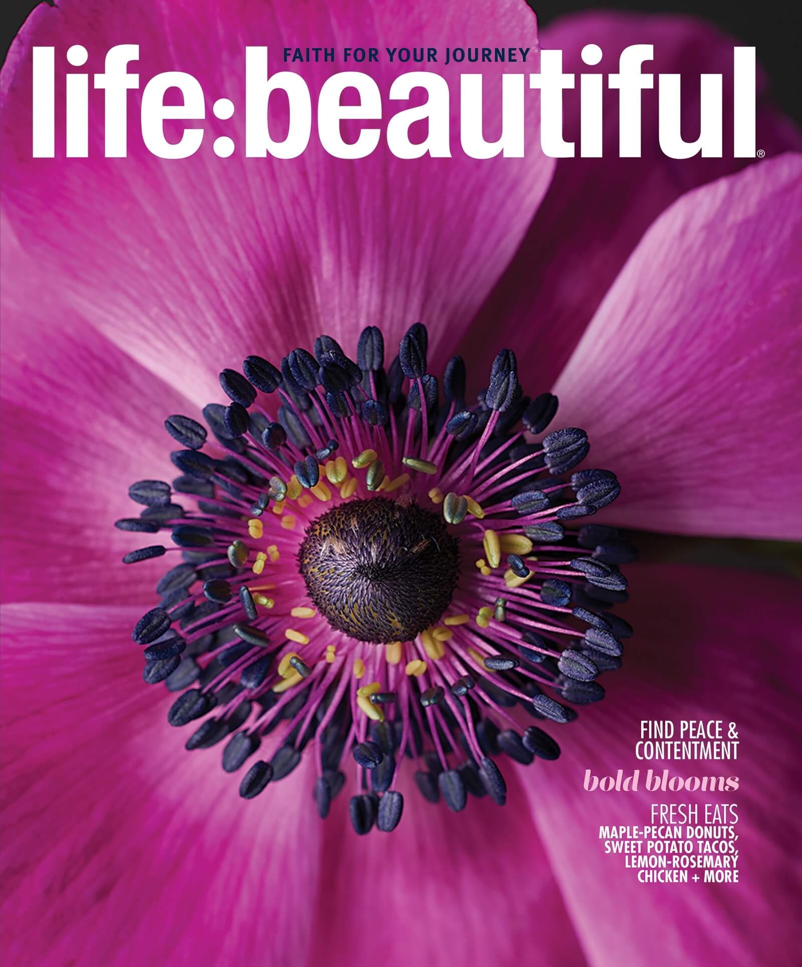 Life:Beautiful Magazine, Fall 2018